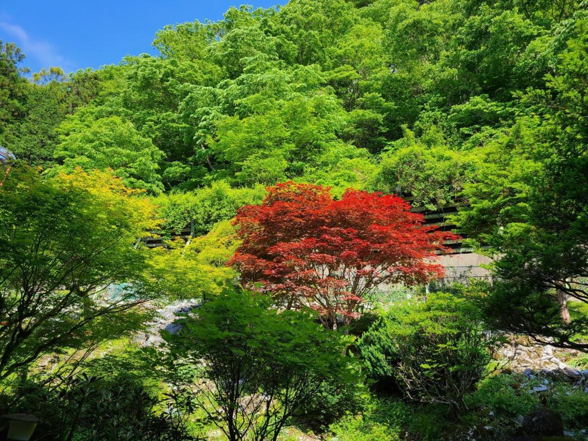 Ichimaru Ryokan - Vacation Stay 77851V Tenkawa Zewnętrze zdjęcie